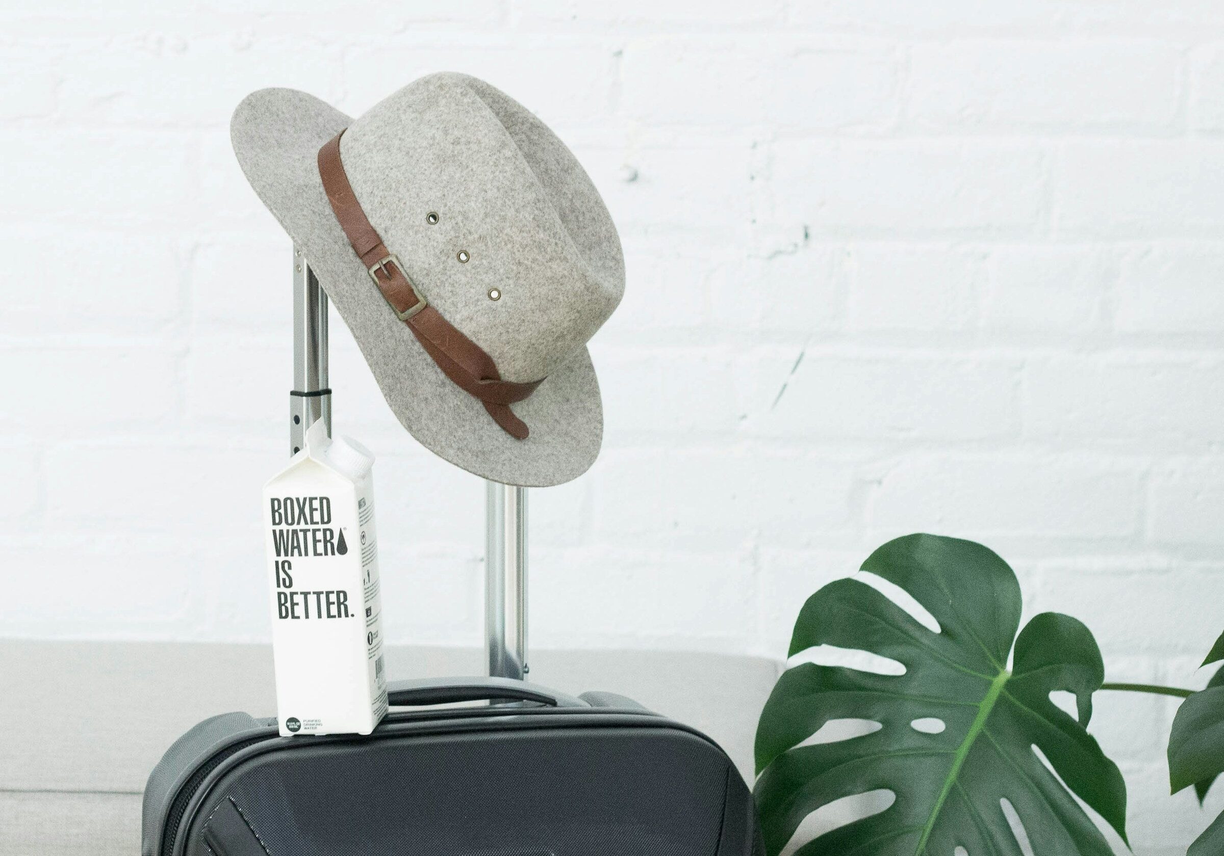 boxed-water-is-better-6dX5TPPM34M-unsplash